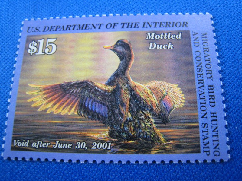 UNITED STATES 2000 DUCK STAMP - Scott #RW67    MNH