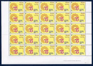 NEPAL 2R Tourist Year 1975 Block of 25 MNH