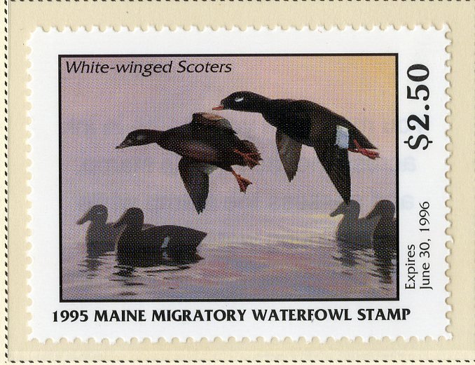 US ME12 MAINE STATE DUCK STAMP 1995 MNH SCV $12.00 BIN $6.00