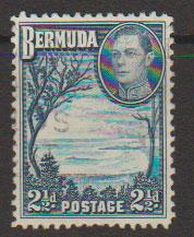 Bermuda SG 113 Used