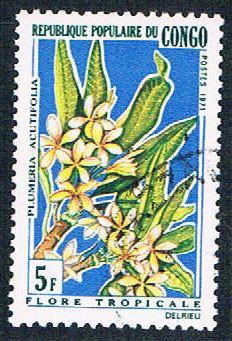 Congo PR 239 Used Flowers (BP3824)