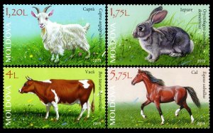 2019 Moldova 1105-1108 Domestic Animals