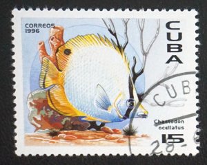 CUBA Sc# 3751  TROPICAL BIRDS  BUTTERFLY  15c  1996  used cto