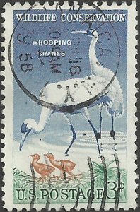 # 1098 USED WILDLIFE CONSERVATION    