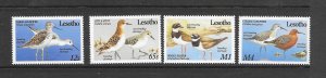 BIRDS - LESOTHO #726-9 MNH