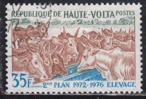 Burkina Faso 278 Domesticated Cattle 1972