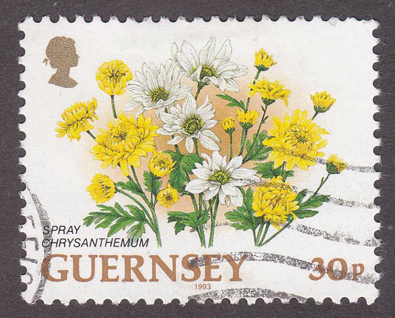 Guernsey 492 Hinged 1993 Spray Chrysanthemum