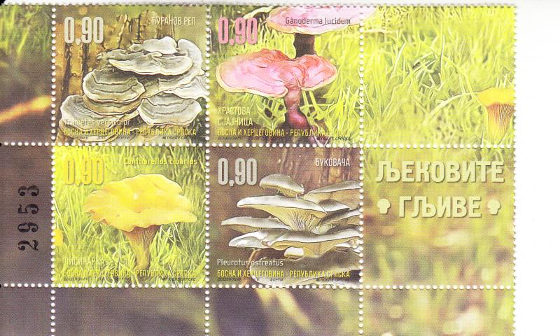 2016 Bosnia & Herzegovina Serb Mushrooms B4 (Scott 556) MNH