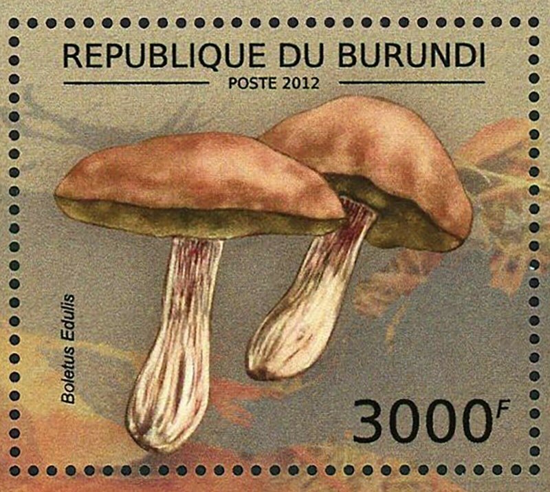 Mushrooms Stamp Amanita Rubescens Boletus Edulis Cantharellus S/S MNH #2738-2741