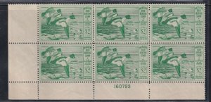 RW16 Choice-XF plate block original gum never hinged nice color ! see pic !