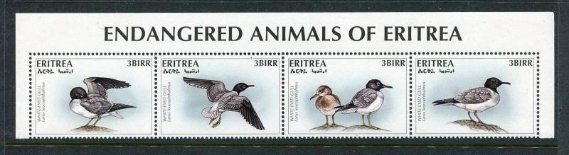 Eritrea, MNH, Birds White-eyed Gull Endangered animals 1996. x29143