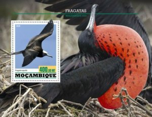 Mozambique - 2020 Ascension Frigatebird - Stamp Souvenir Sheet - MOZ200210b