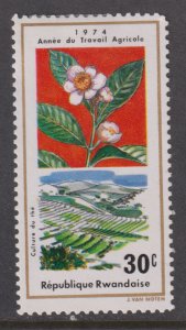 Rwanda 633 Tea Farm 1975