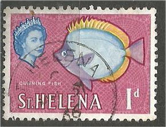 ST. HELENA, 1961 used 1p starfish Scott 159