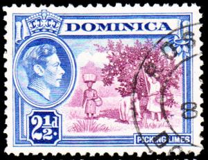 Dominica Scott 101 Used.