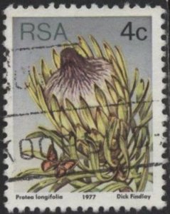 South Africa 478 (u) 4c flowers: long-leaf sugarbush (Protea longifolia) (1977)