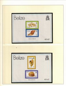 BELIZE Sc 488-89 NH 2S/S OF 1980-81 - SHELLS