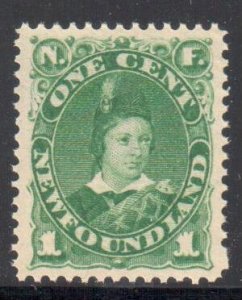 Newfoudland #44 XF MINT C$50.00- Choice Centering