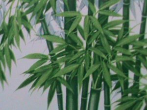 ​CHINA-1993 SC# 2448a    PANDA HOLOGRAM OVPT. HONG KONG'96 STAMP SHOW S/S