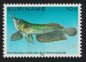 Suriname Arawana 'Osteoglossum bicirrhisum' Tropical Fish 1980 MNH SG#1005