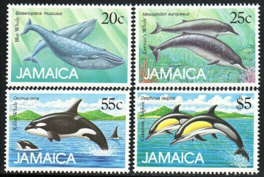 Jamaica Whales & Dolphins Set