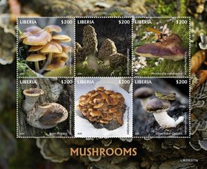 Liberia - 2020 Mushrooms and Insects - 6 Stamp Sheet - LIB200311a