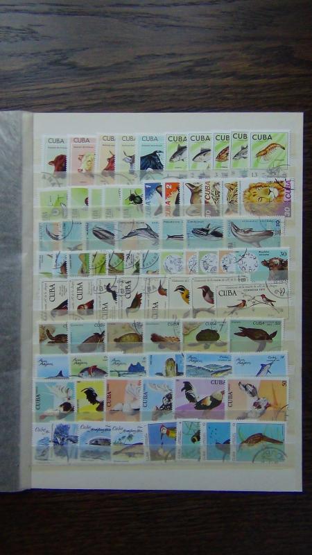 1971 1984 sets Bees Cats Whales Dolphins Birds Turtles Fish Cocks Mammals VFU