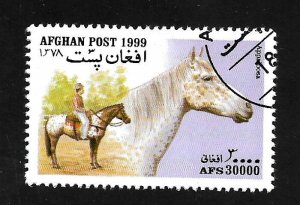 Afghanistan 1999 - Horse - Cinderella