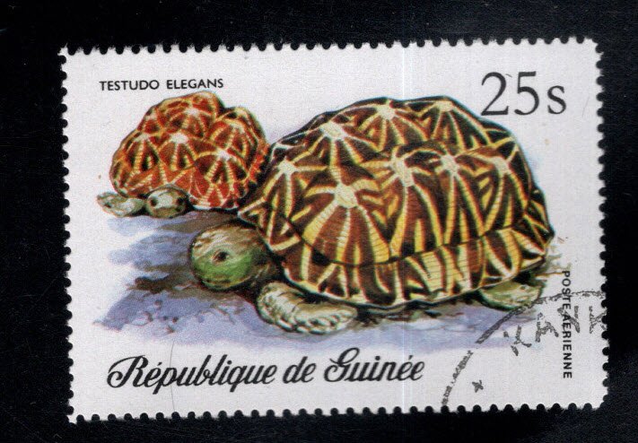 Guinea Scott C136 Painted Tortoise stamp  Canceled to order  on various corners