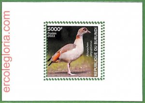 B1220 - BURUNDI - MISPERF ERROR Stamp Sheet - 2023 - Animals, Birds-