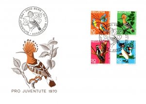 Switzerland, Worldwide First Day Cover, Birds