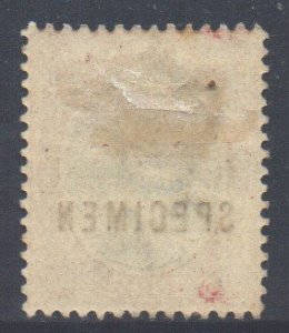 St. Kitts-Nevis Scott 7 - SG7, 1903 Colombus 1/- Specimen Overprint MH*