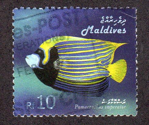 Maldive Islands 2891 - Used - Emperor Angelfish (cv $1.55)