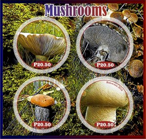 Stamps.  Mushrooms 2018 1+1 sheets perforated