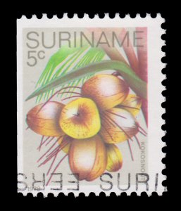 SURINAME 1978 STAMP. SCOTT # 510. USED.