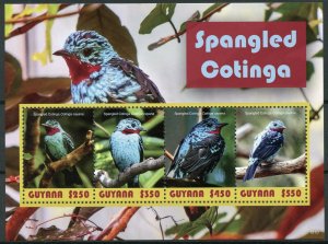 Guyana 2019 MNH Spangled Cotinga 4v M/S Cotingas Birds Stamps
