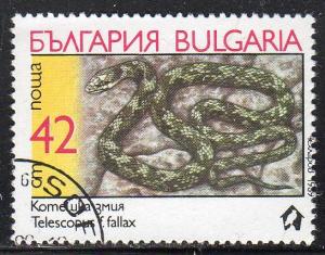 Bulgaria 3495 - Cto - European Cat Snake