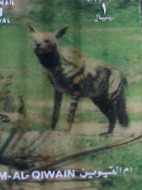 ​UMM AL QIWAIN STAMP-COLORFUL 3D STAMP-WOLF MINT STAMP- VERY FINE