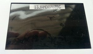 Jamaica Parrot 1995 Bird (phonecard stamp FDC)