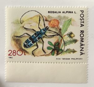 Romania 1993 Scott 3834 MNH - 280L, Protected fauna, insect,	Rosalia alpina