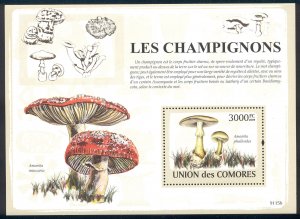 Comoro Islands - 2009 s/s of 1 Mushrooms #1070 cv $ 15.50 Lot # 78
