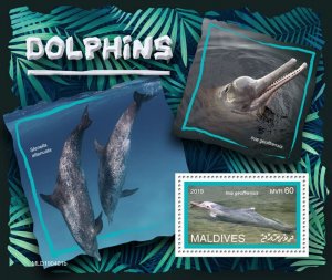 Maldives 2019 MNH Marine Animals Stamps Dolphins Amazon River Dolphin 1v S/S