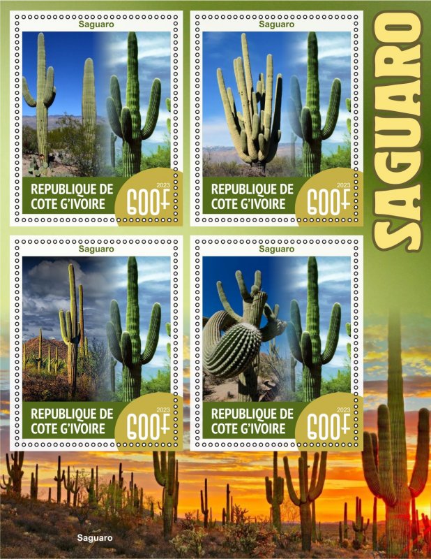 Stamps. Plants, Cactus 1+1 sheets 2023 year perforated MNH**