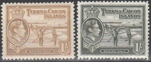 Turks And Caicos Islands #86, 86A  MNH CV $2.65  (A11938)