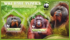 Stamps. Fauna.WWF. Monkey 2021 year 1+1 sheets perf Gambia