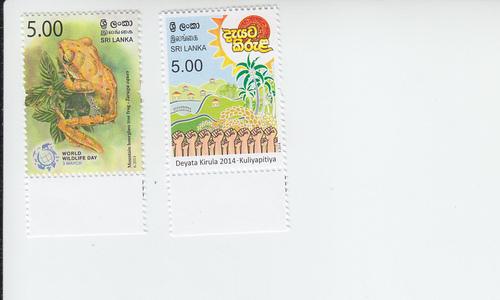 2014 Sri Lanka Tree Frog / D. Kirula (Scott NA) MNH