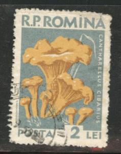 Romania Scott 1234 used stamp