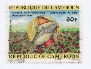 Cameroon       765        used