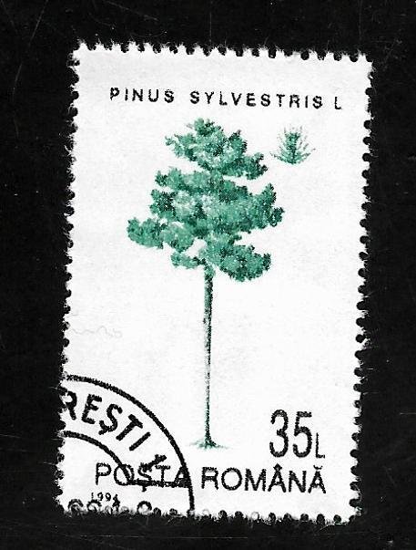 Romania 1994 - U - Scott #3914