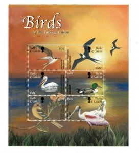 TURKS AND CAICOS  - Birds Of the Turks And Caicos - Sheet of 6 Stamps - MNH